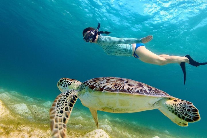 Private snorkling (3 gili)